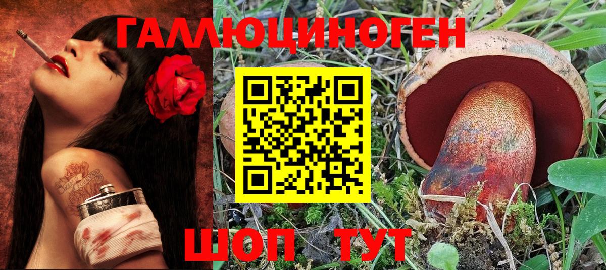 Чернушка  Галлюциногенные грибы Cubensis  Галлюциногенные грибы MAGIC MUSHROOMS  Вход с VPN 